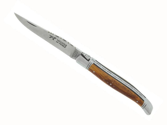 Laguiole knife the faithful pistachio 12cm